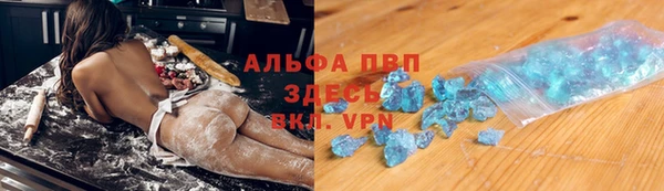 прущие грибы Армянск