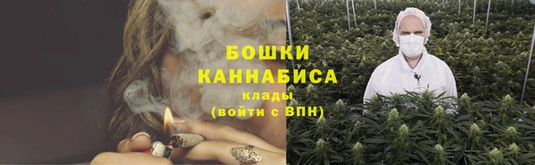 PSILOCYBIN Аркадак