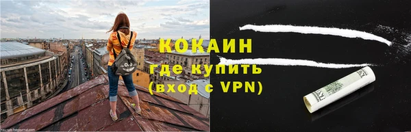 прущие грибы Армянск