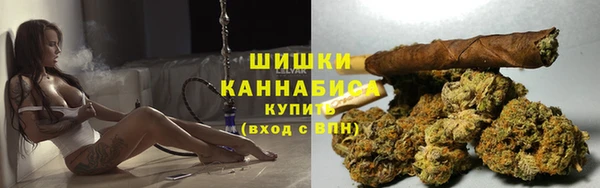 прущие грибы Армянск