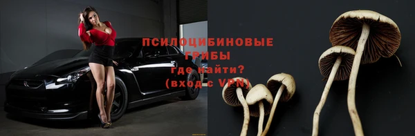 мяу мяу мука Алексин