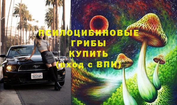 PSILOCYBIN Аркадак