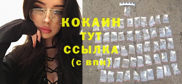 прущие грибы Армянск