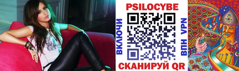 Галлюциногенные грибы Psilocybine cubensis  Лихославль 